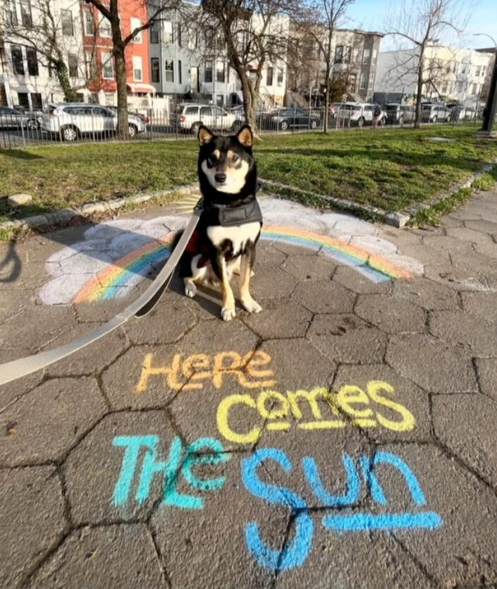 Here Comes the Sun (Chalk) Here Comes the Sun (Chalk)